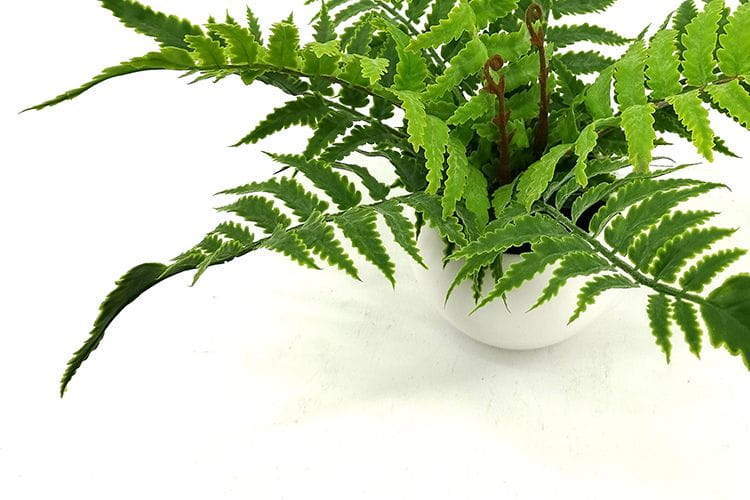 Single Branch 9 Leaves 28cm Artificial Pteris Bonsai Ferns