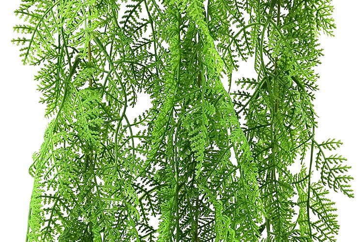 3 Branches 43 leaves 80cm Artificial Adiantum Venustum Hanging Rattan Ferns