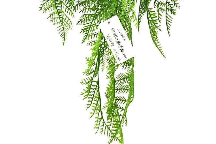 3 Branches 43 leaves 80cm Artificial Adiantum Venustum Hanging Rattan Ferns