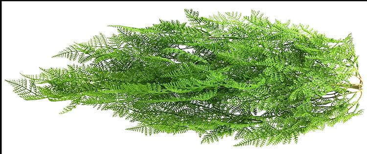 3 Branches 43 leaves 80cm Artificial Adiantum Venustum Hanging Rattan Ferns