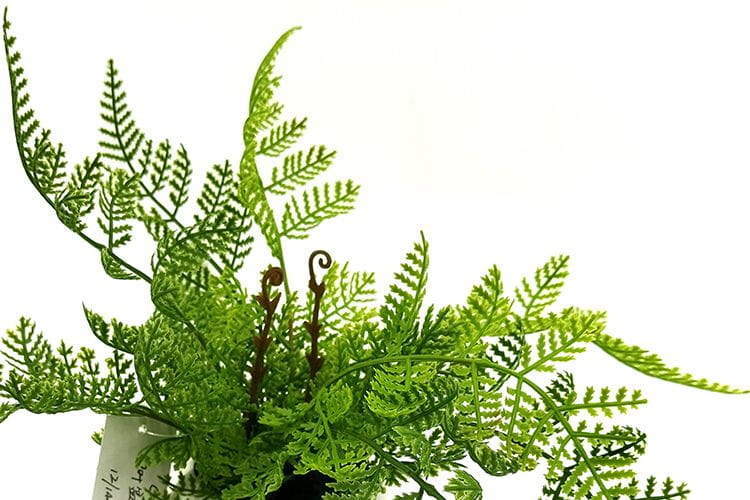 Single Branch 9 Leaves 28cm Artificial Adiantum Venustum Bonsai Ferns