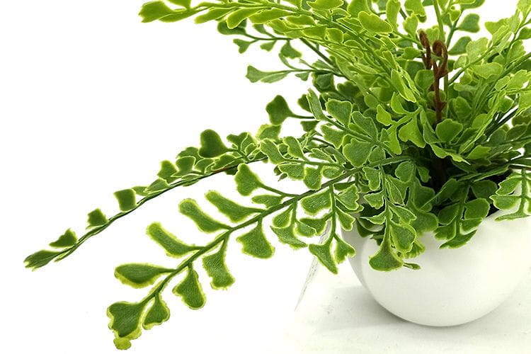 Single Branch 9 Leaves 28cm Artificial Ginkgo Bonsai Ferns