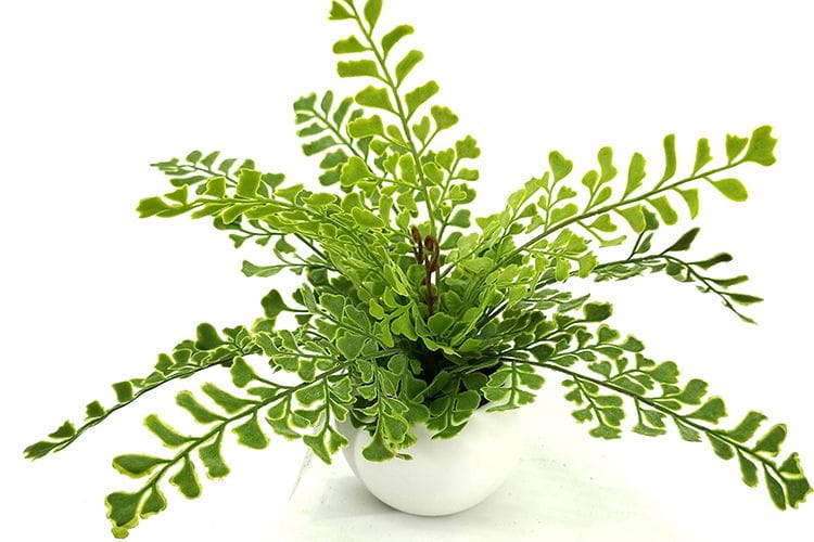 Single Branch 9 Leaves 28cm Artificial Ginkgo Bonsai Ferns