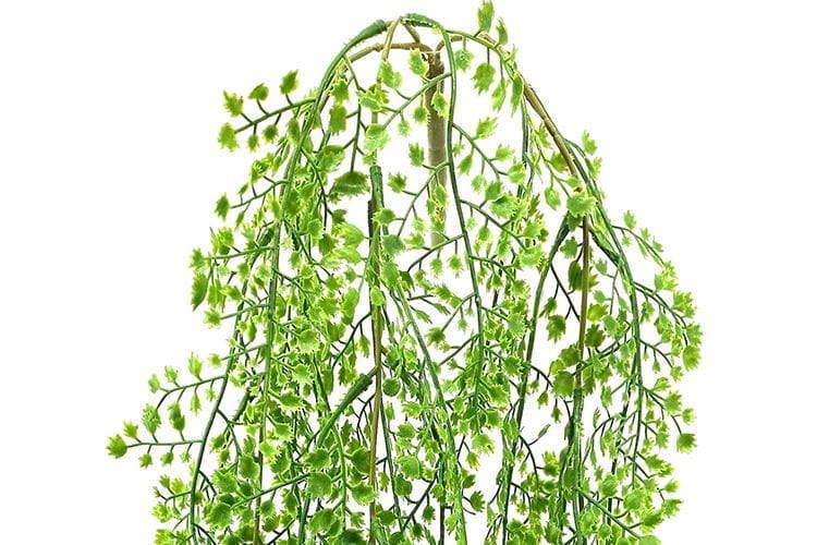 3 Branches 43 leaves 80cm Artificial Adiantum Hanging Rattan Ferns