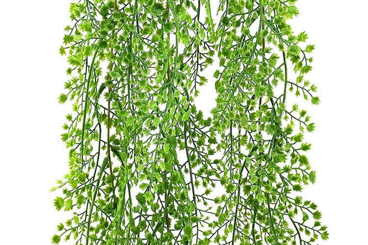 3 Branches 43 leaves 80cm Artificial Adiantum Hanging Rattan Ferns