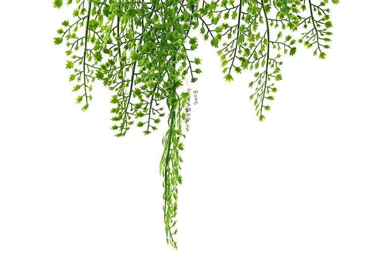 3 Branches 43 leaves 80cm Artificial Adiantum Hanging Rattan Ferns