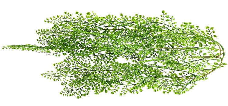 3 Branches 43 leaves 80cm Artificial Adiantum Hanging Rattan Ferns