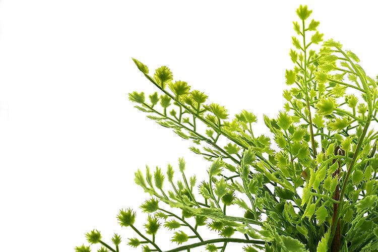 Single Branch 9 Leaves 32cm Artificial Adiantum Fern Bunches