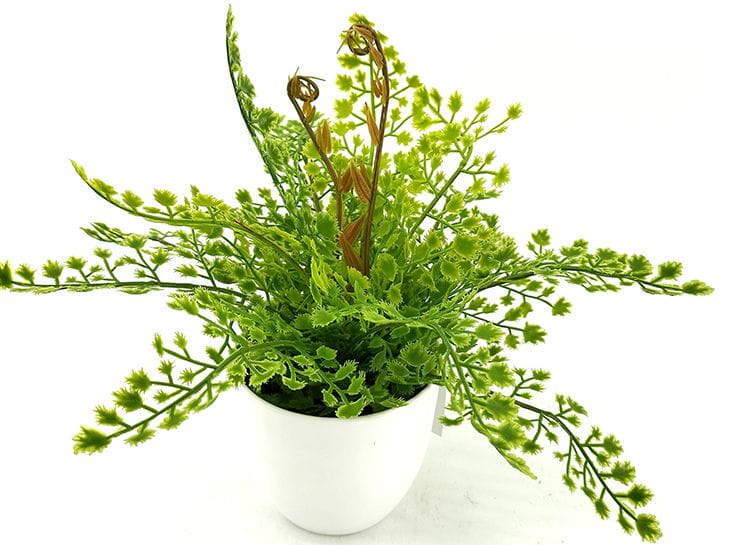 Single Branch 9 Leaves 28cm Artificial Adiantum Bonsai Ferns