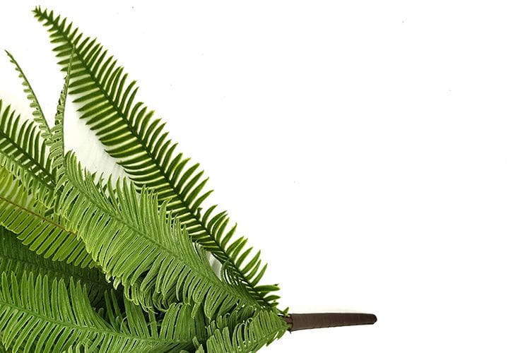 Single Branch 25 leaves 50cm Artificial Osmunda Fern Leaf Bunches