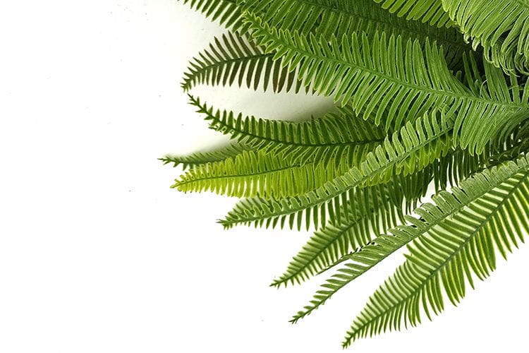 Single Branch 25 leaves 50cm Artificial Osmunda Fern Leaf Bunches
