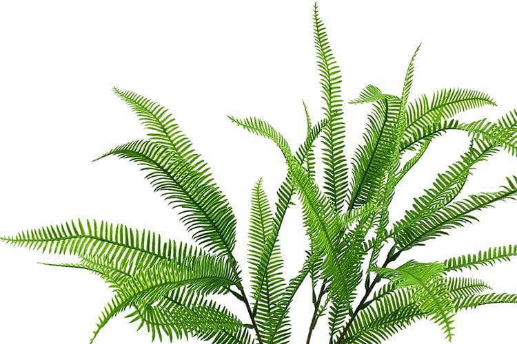 Single Branch 27 Leaves Artificial Osmunda Fern Leaf