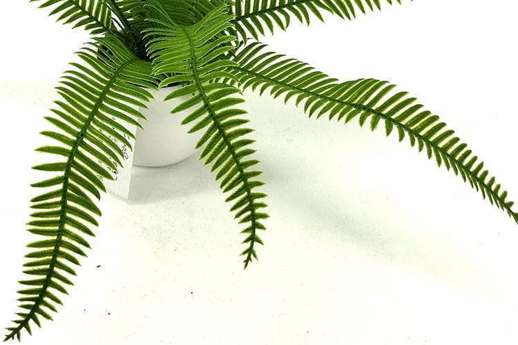 Single Branch 9 Leaves 28cm Artificial Osmunda Bonsai Ferns