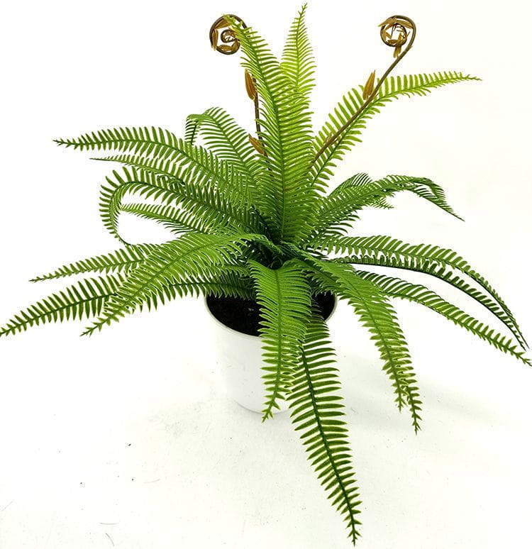 Single Branch 9 Leaves 28cm Artificial Osmunda Bonsai Ferns