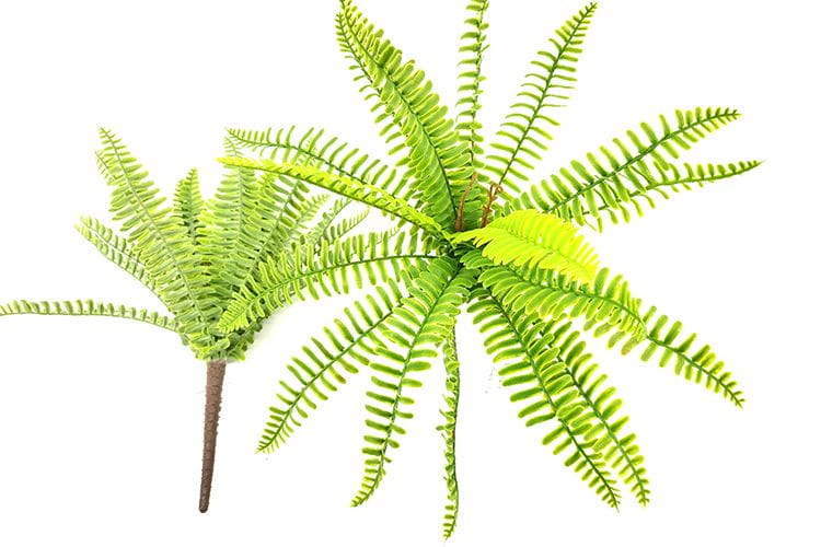 25 leaves Artificial Boston Fern Leaf bunches 50cm