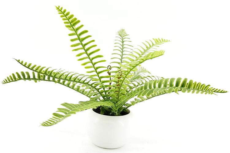 24 Leaves Artificial Boston Bonsai Ferns 35cm