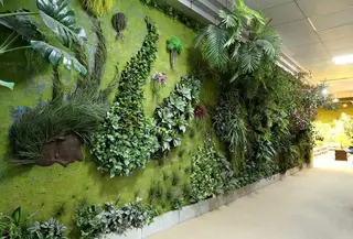 Installation Technology of EcologicalInstallation Technology of Plant Walls Installation Technology of Plant Walls