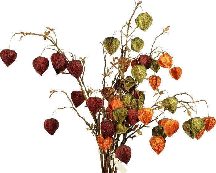 An In-Depth Guide to Common Leaf Materials in Floral Design An In-Depth Guide to Common Leaf Materials in Floral Design