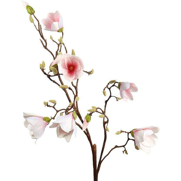 An In-Depth Guide to Common Leaf Materials in Floral Design An In-Depth Guide to Common Leaf Materials in Floral Design