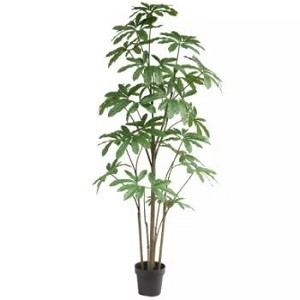 Artificial Trees Can Absorb Carbon Dioxide?
