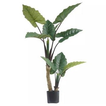 Characteristics, Trends, Advantages and Audience of Artificial Trees