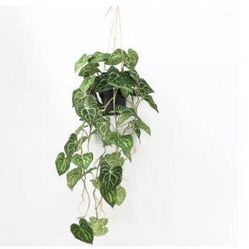 Classifications and Modeling Advantages of Artificial Plants