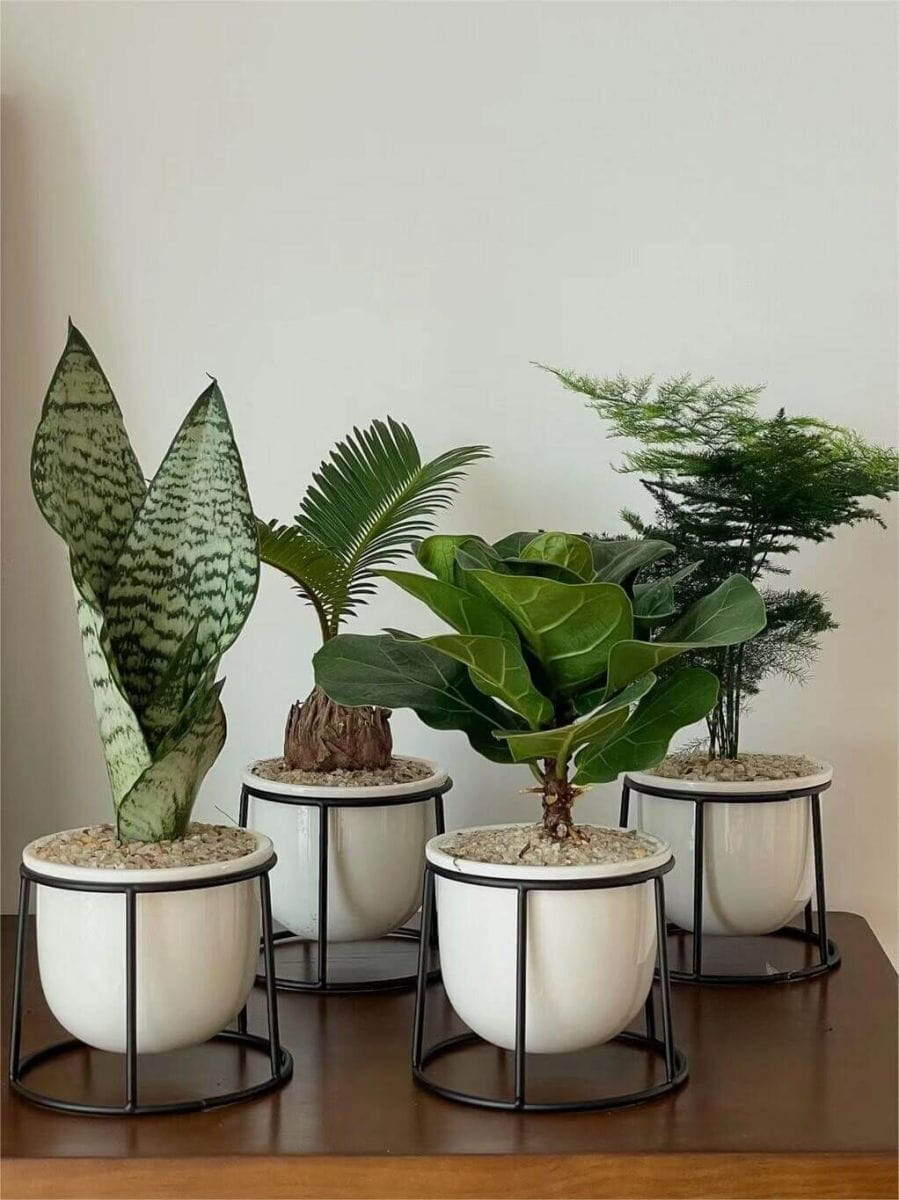 Debunking myths: do fake plants really attract bugs?