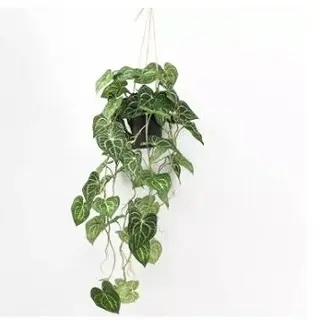 Classifications and Modeling Advantages of Artificial Plants