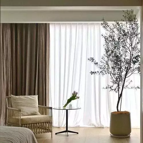 Unveiling the Beauty of Olive Tree Faux Decor