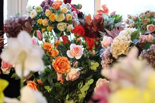 The Advantages of Selecting Artificial Plants from a Reputable Manufacturer The Advantages of Selecting Artificial Plants from a Reputable Manufacturer