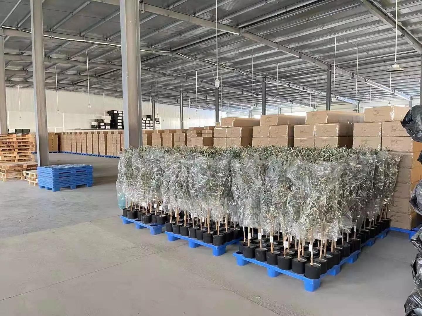 The Advantages of Selecting Artificial Plants from a Reputable Manufacturer