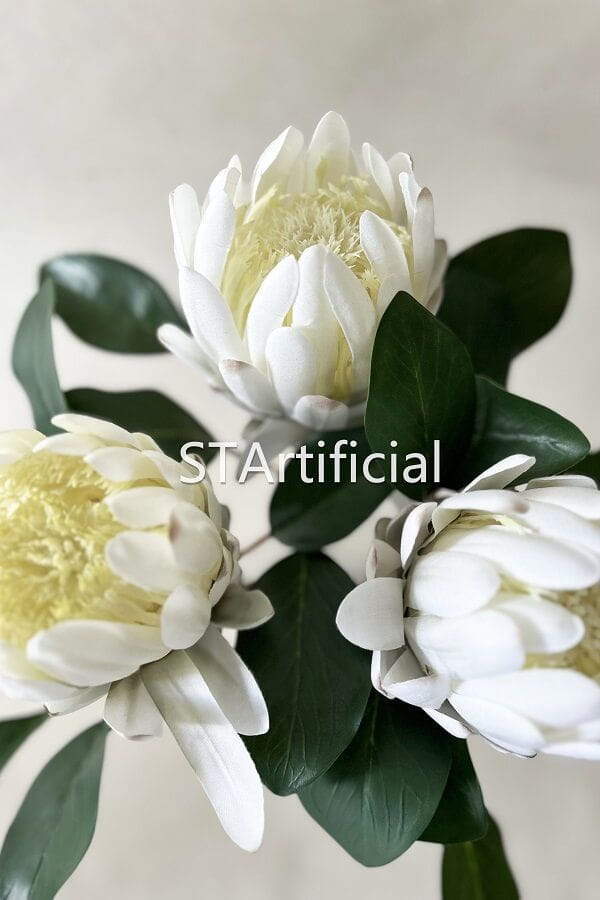 nature king protea detail