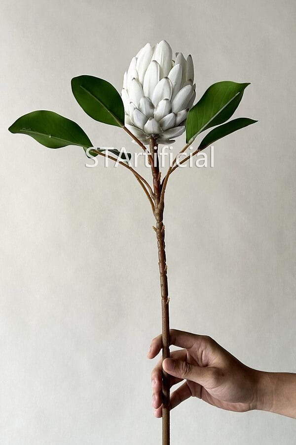 single flower