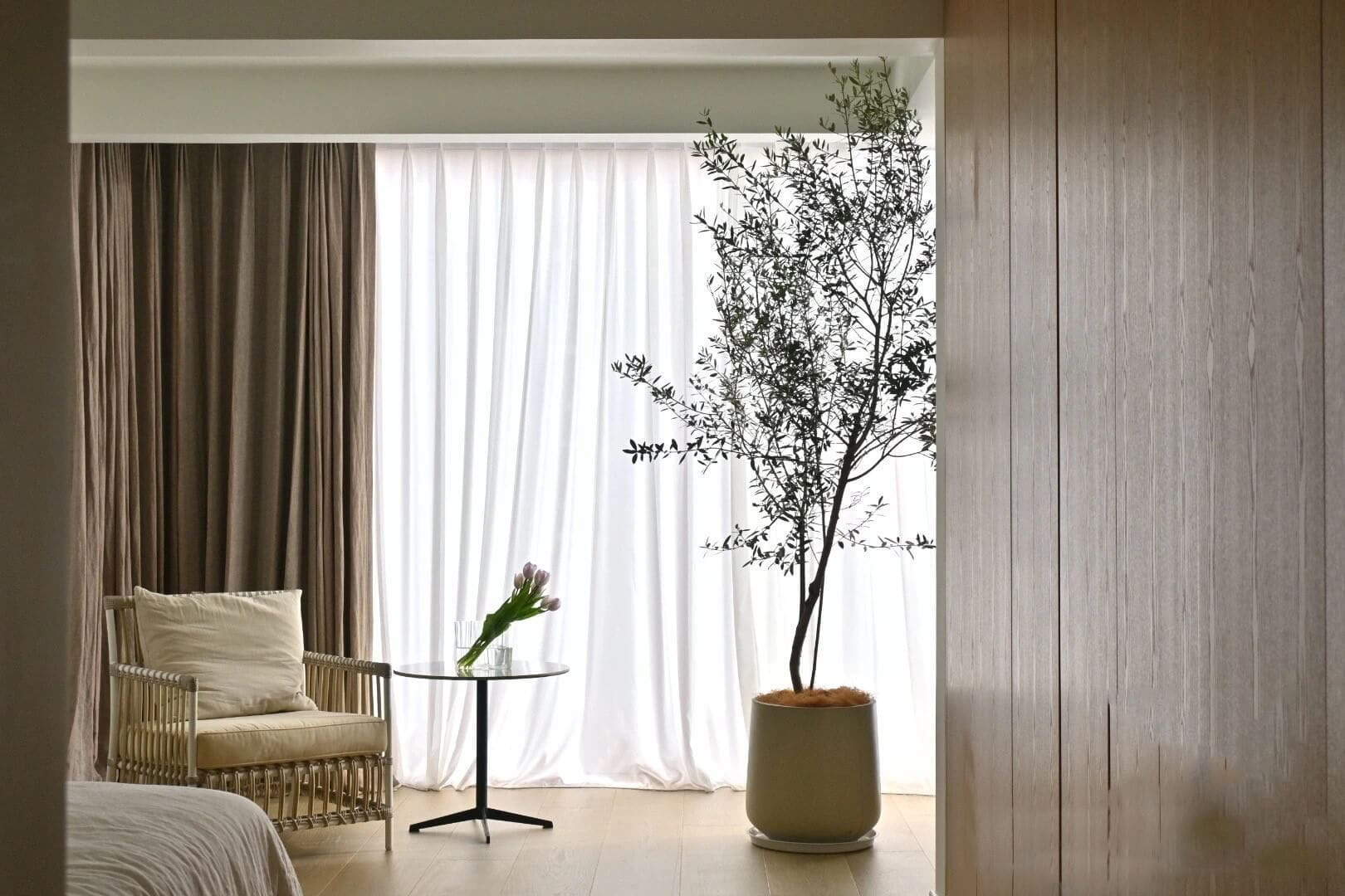 Unveiling the Beauty of Olive Tree Faux Decor Unveiling the Beauty of Olive Tree Faux Decor