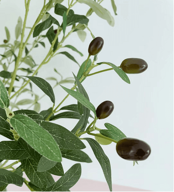 Unveiling the Beauty of Olive Tree Faux Decor