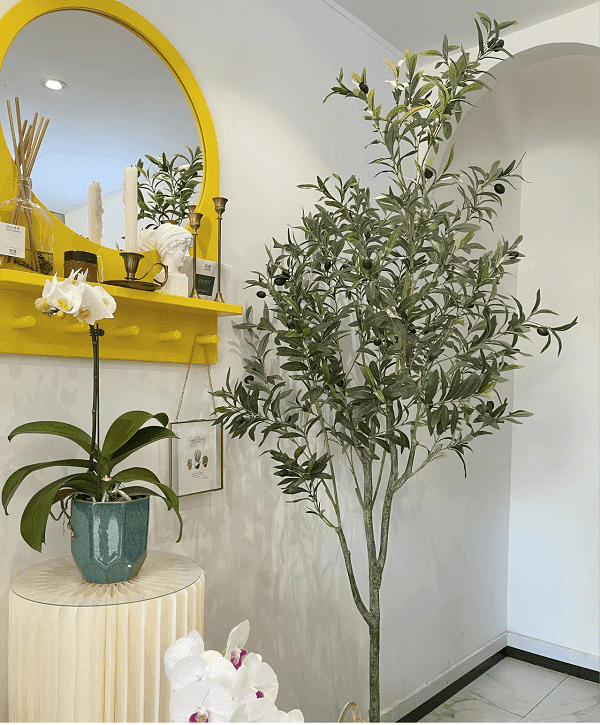 Unveiling the Beauty of Olive Tree Faux Decor Unveiling the Beauty of Olive Tree Faux Decor