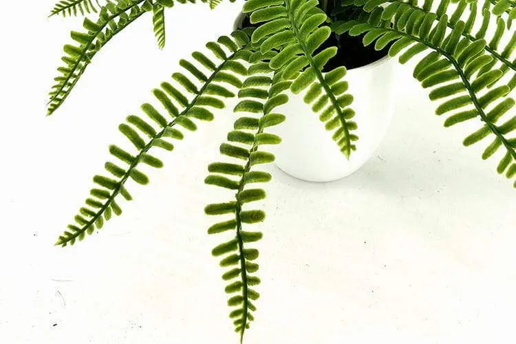 24 Leaves Artificial Boston Bonsai Ferns 35cm