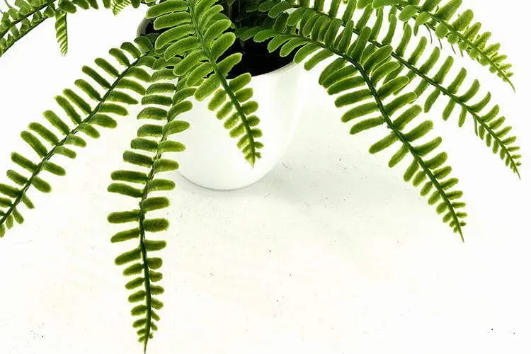 24 Leaves Artificial Boston Bonsai Ferns 35cm