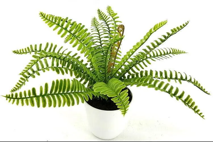 24 Leaves Artificial Boston Bonsai Ferns 35cm