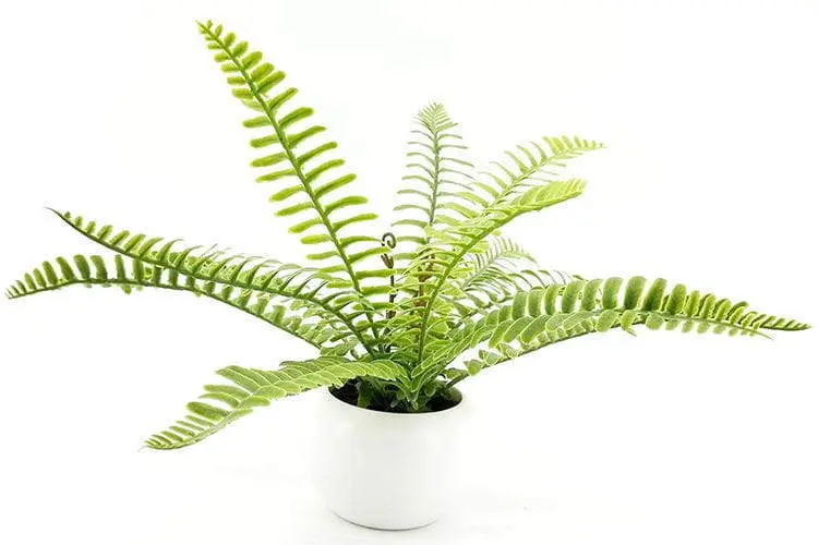 24 Leaves Artificial Boston Bonsai Ferns 35cm