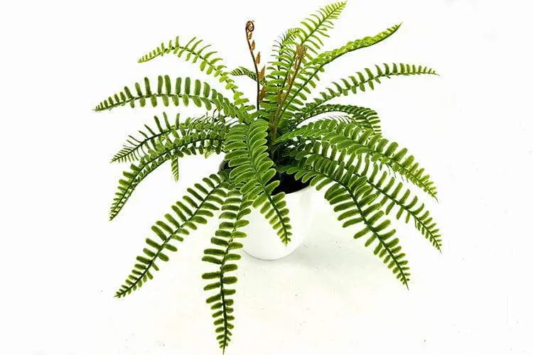 24 Leaves Artificial Boston Bonsai Ferns 35cm