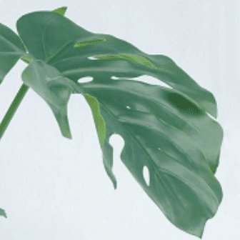 Artificial Monstera Deliciosa Tree 75 CM