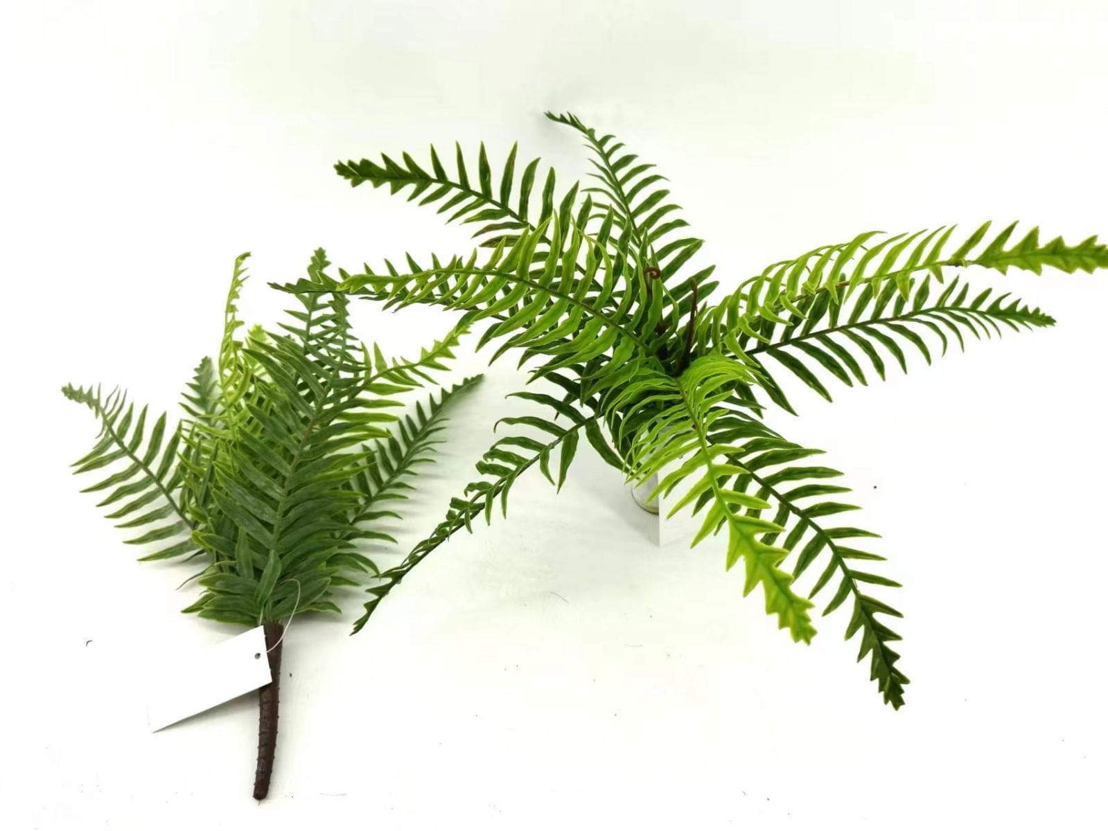 9 Leaves Artificial Dragon Boat Fern Leaf Bunches Manufacturer in China,32cm