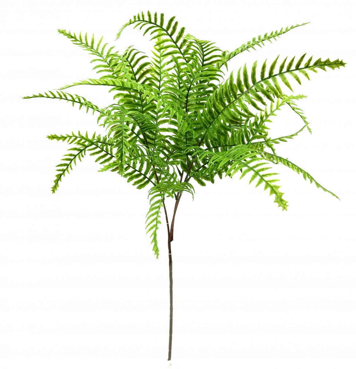 Single Branch 27 Leaves Artificial Dragon Boat Fern Leaf