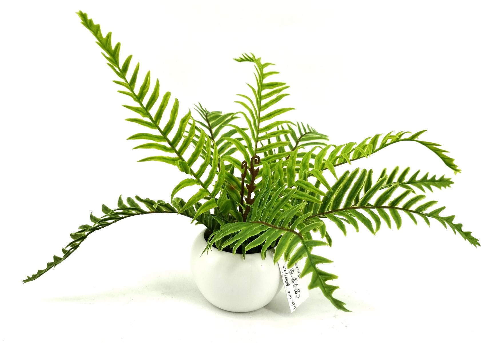 9 Leaves 28cm Artificial Dragon Boat Bonsai Ferns