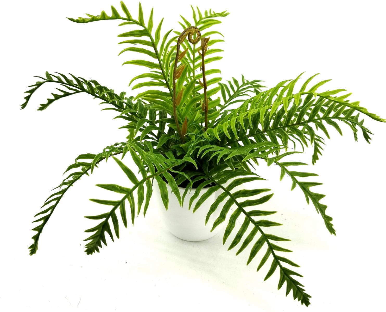 9 Leaves 28cm Artificial Dragon Boat Bonsai Ferns