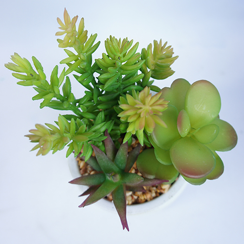 Faux Succulents Potted Decoration 20CM