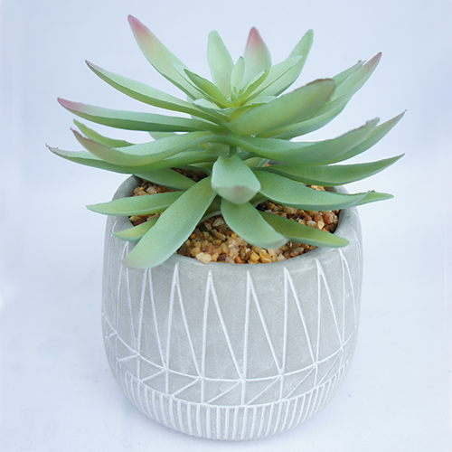 Faux Plastic Succulents Plant For Home Decoration 19 CM