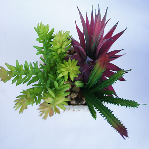 Faux Mini Succulents Plant Factory Wholesale 22 CM
