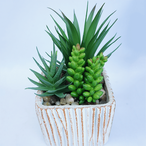 Artificial Mixed Succulent 20 CM